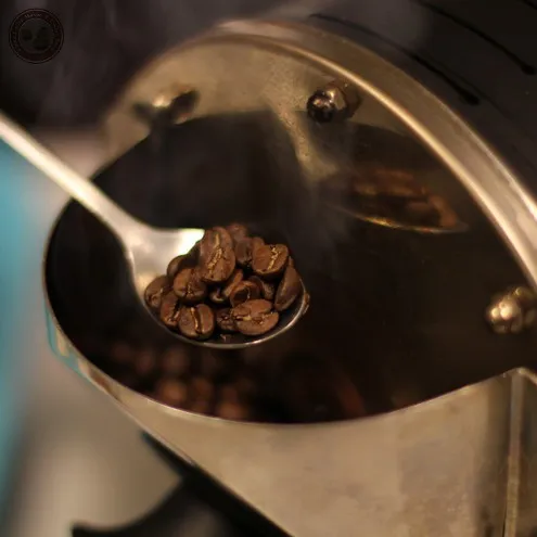 500 г жаровня для кофейных зерен с мотором электрическая жаровня для кофе из нержавеющей стали FCR маленькая домашняя жаровня машина для выпечки кофейных зерен