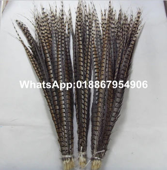 

50pcs 90-100cm 35-40 inches Natural Brown Lady Amherst pheasant tails Side feather super long chicken Tails