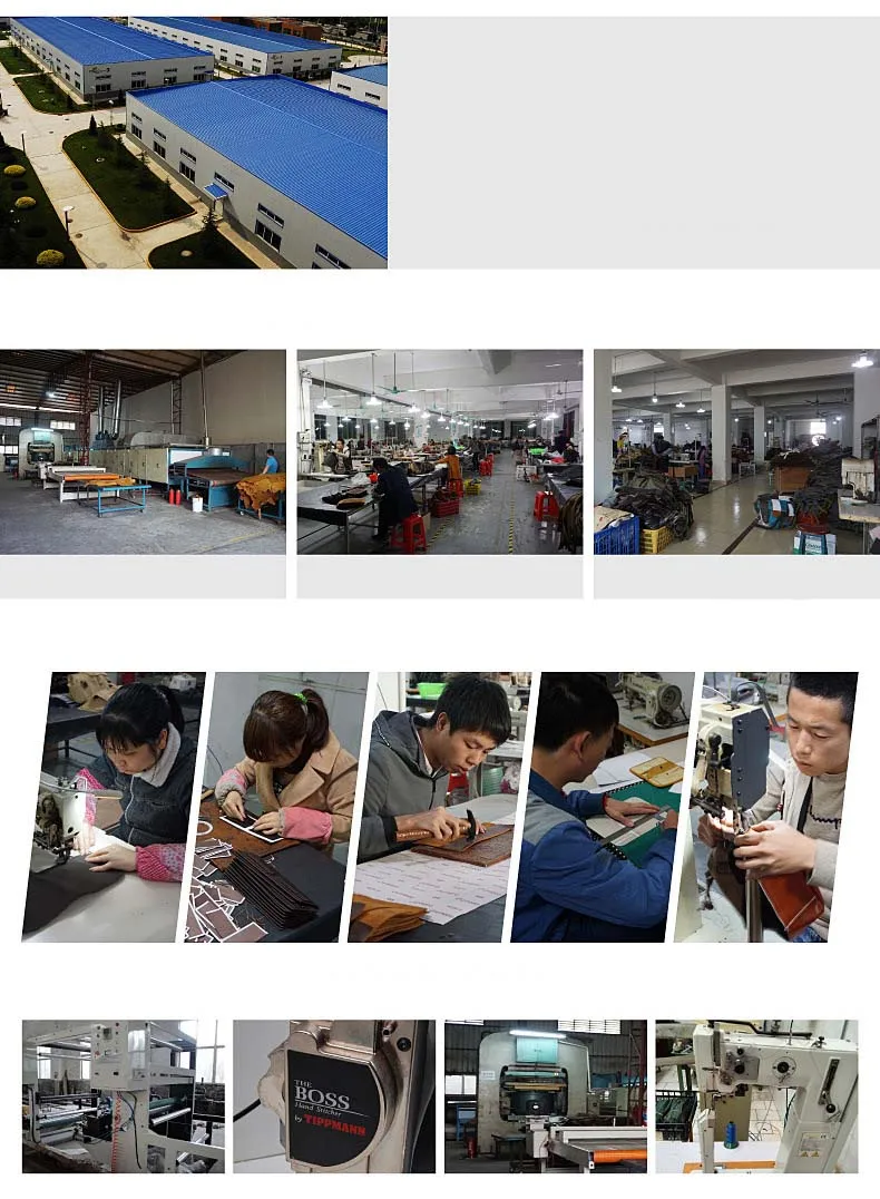 3913526873_733163994