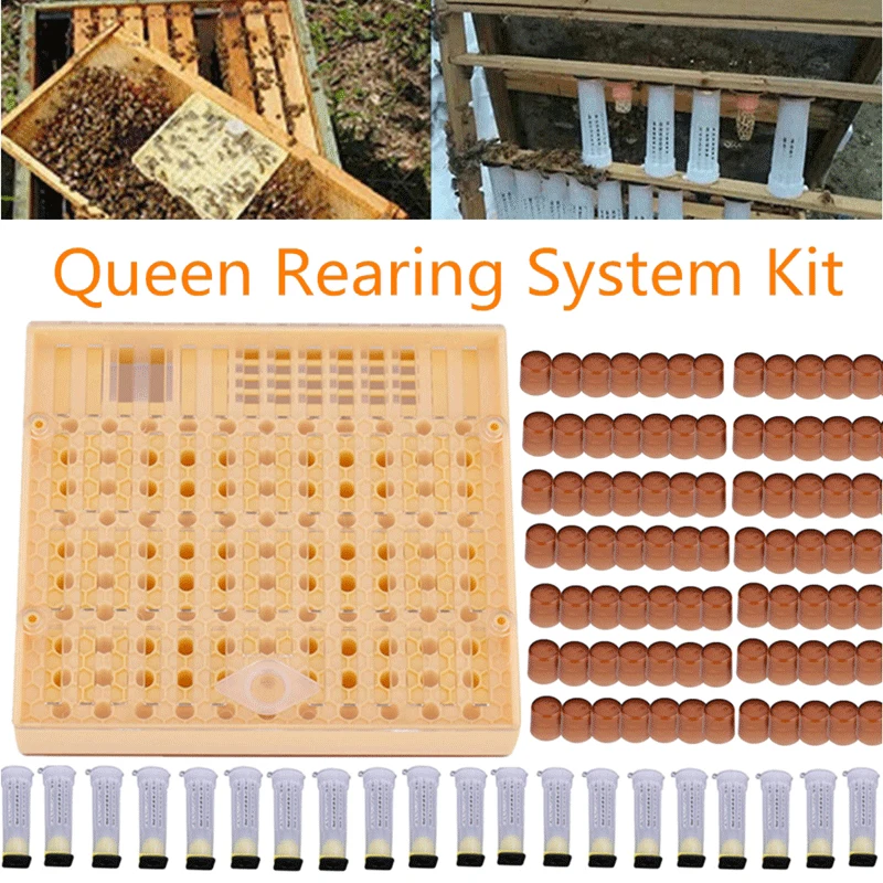 Bee Nicot Beekeeping Tool Kit Box Case Queen Rearing System Cell Cups