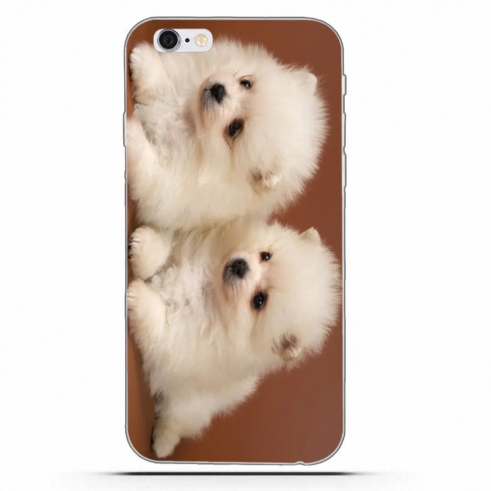 Wexoeq For Apple iPhone X 4 4S 5 5C 5S SE 6 6S 7 8 Plus Soft Capa Pomeranian puppy dog