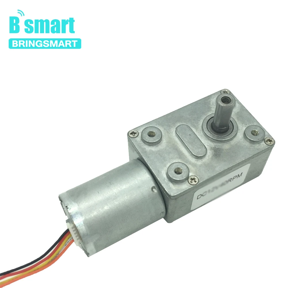 

Bringsmart JGY-2430 Electric Motor DC 12V Self-lock Reversed Gearbox Brushless Worm Gear Motor 24V low speed with Brake for DIY