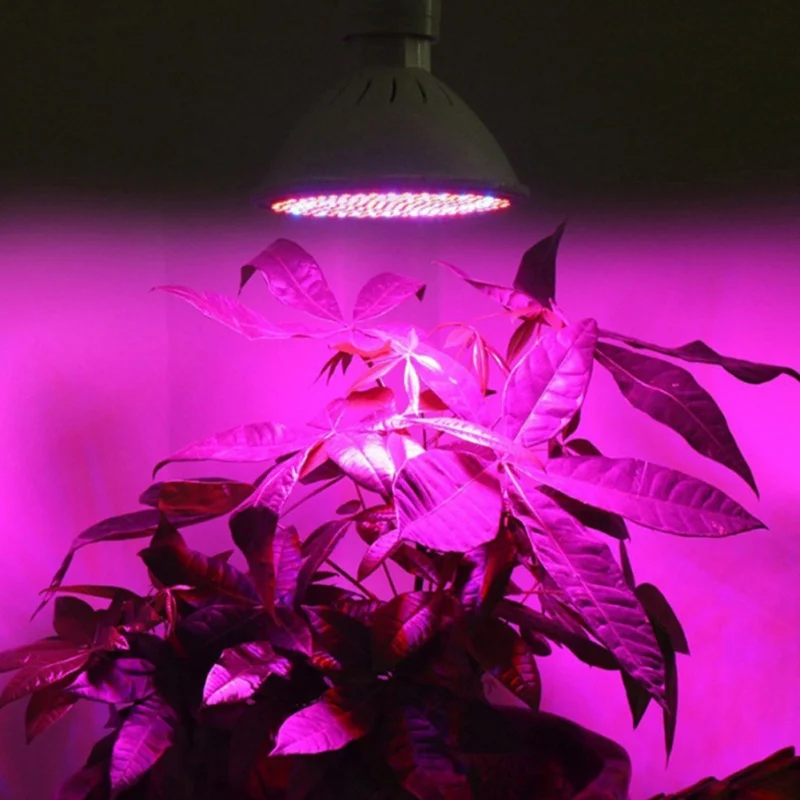 Полный спектр светодиодный светильник для выращивания растений E27 лампа с зажимом для теплицы гидропонная, для растений цветок