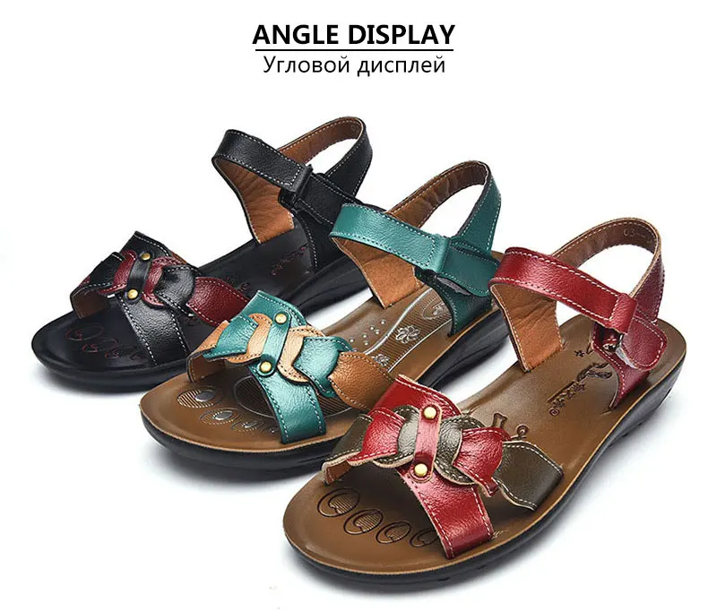 4022494508_1703537044