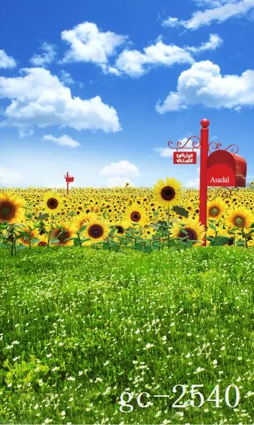 

5x10ft Vinyl Custom Photography Backdrops Props Photo theme Backgrounds GC-2540