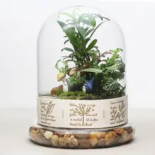1 Набор стеклянная ваза подвесная Террариум суккуленты растение пейзаж домашний Декор подарок Гидропоника бутылка JY 1201