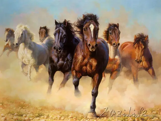 Hand Painted Horse Canvas Painting Wall Art Oil Paintings Modern Hand Painted Horse Canvas Painting Wall Art Oil Paintings Modern Pictures For Living Room Decorative