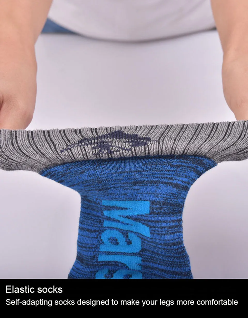 b_016