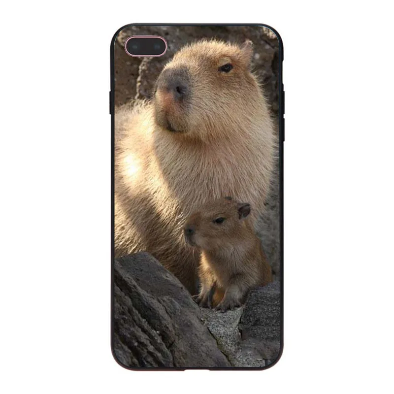 MaiYaCa Animal Funny Capybara Специальное предложение Роскошный чехол для телефона iPhone 8 7 6 6S Plus X XS XR XSMax 5 5S SE Coque Shell - Цвет: 7