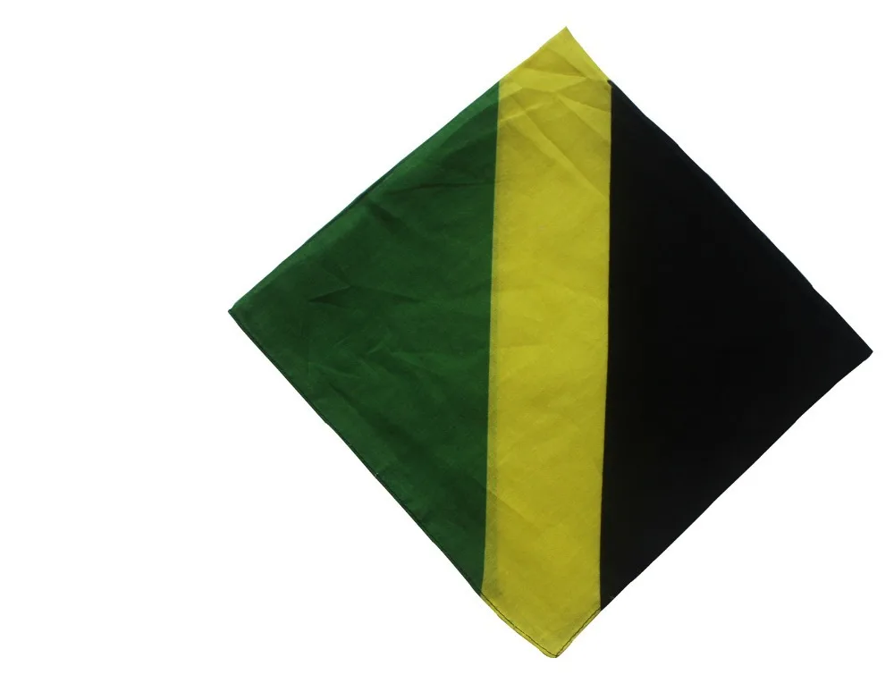 2 Jamaican Patriotic Flag Ties for one bid