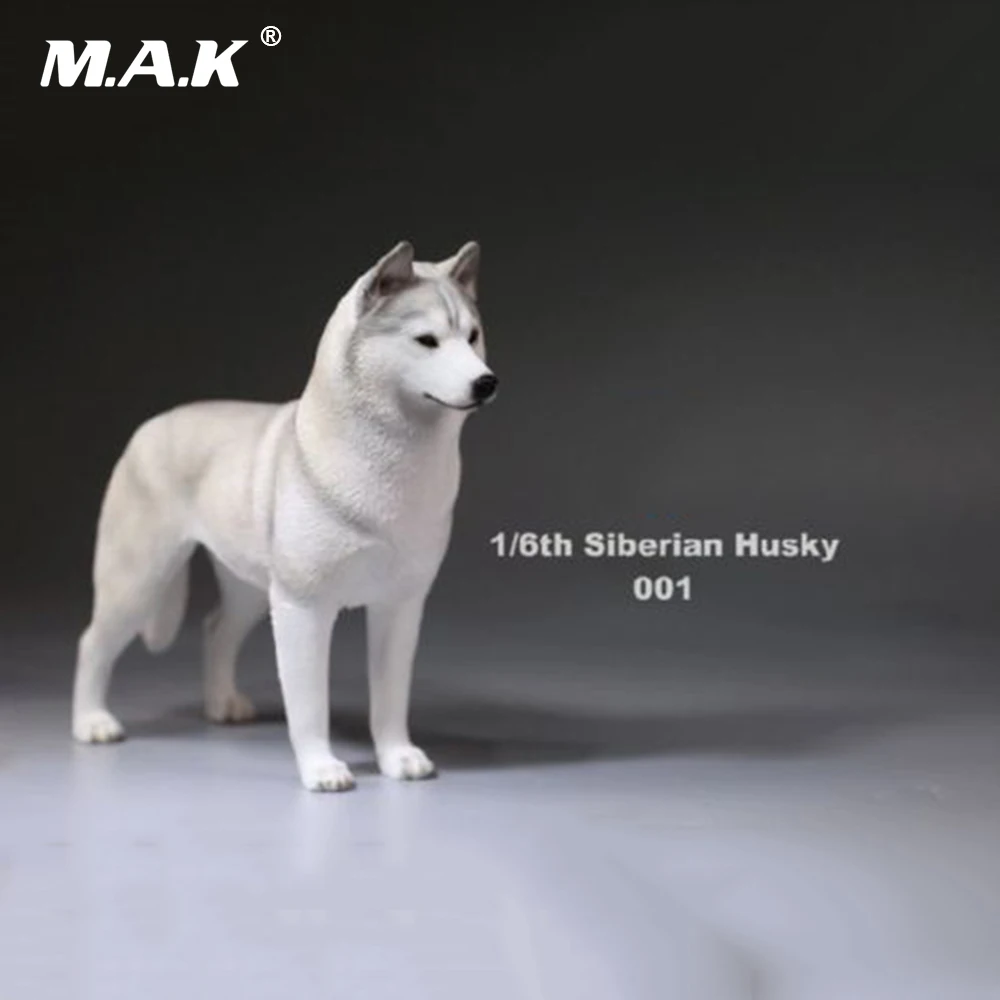 Экшн фигурка 1/6(12 дюймов) аксессуар 1:6 Сибирский хаски Имитация животных