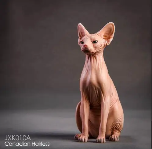 1/6 Resin Animal Model Jxk010 1/6 Canadian Hairless Sphynx cat 3 Colors Pet Animal F 12" Action figure soldier - Цвет: A