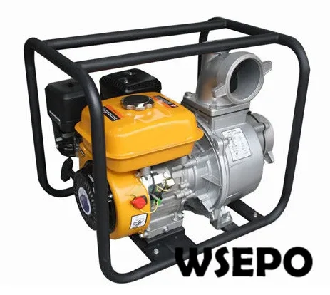 170f 4inch pump