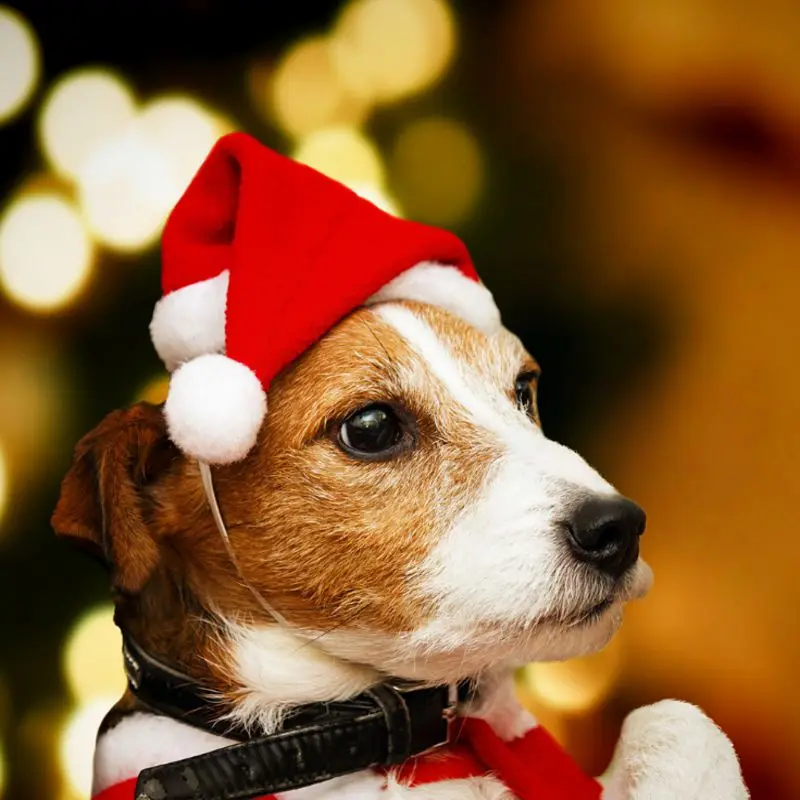 christmas-decorations-for-home-Kid-Cheer-Pet-hat-Children-Santa-Claus-Reindeer-Snowman-Party-Cute-Cap
