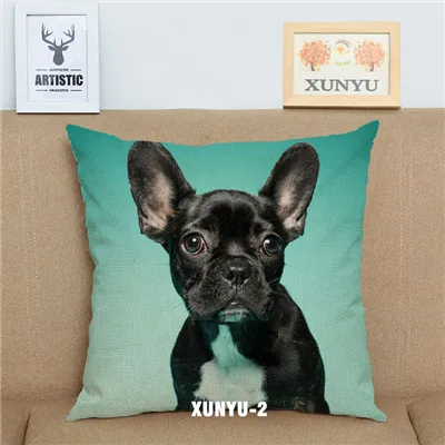 XUNYU чехол для подушки с французским бульдогом милый чехол для подушки для домашних животных Декоративная наволочка для дивана автомобиля KQ21 45x45 см - Цвет: XUNYU-2