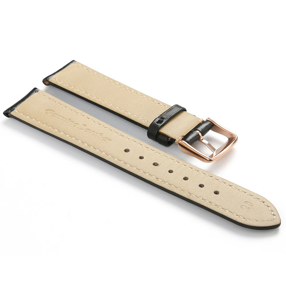 watchband (4)