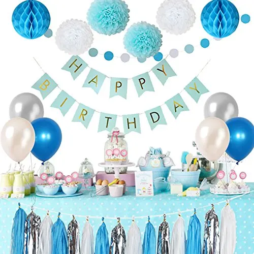 Frozen Theme White and Blue Party Decorations for Kids