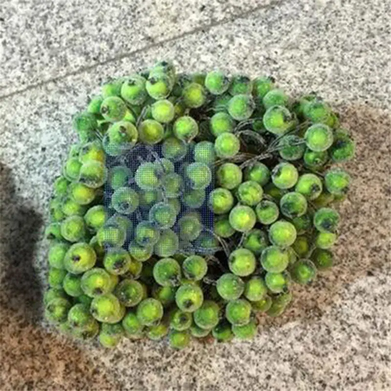 40Pcs-lot-Mini-Fake-Fruit-Small-Berries-Artificial-Flower-cherry-Stamen-Wedding-Home-Christmas-Decorative-75Z.jpg_640x640 (3)