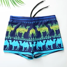 Мужская одежда для плавания плавки быстросохнущие купальные костюмы спа, купальный костюм сексуальные мужские летние пляжные Горячие весенние плавки Homme