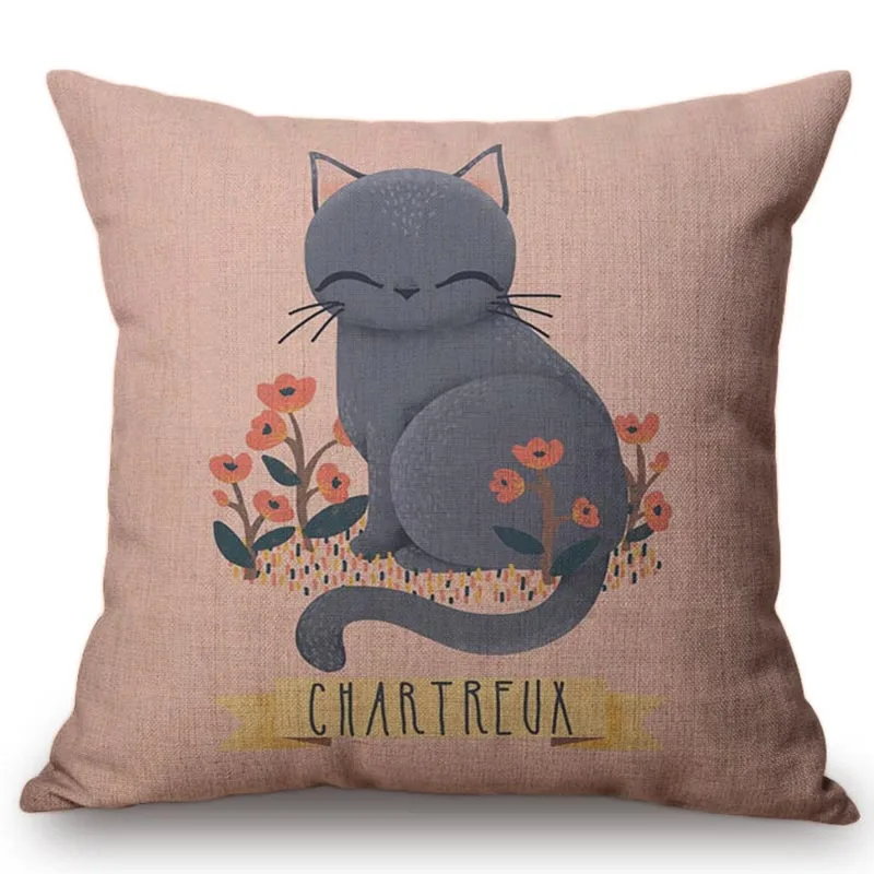 chartreux-cat-canvas 