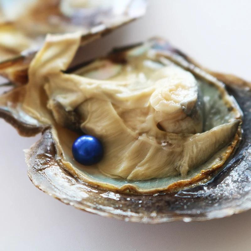 Do all oysters have pearls