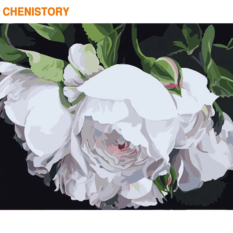 

CHENISTORY Frame White Flower DIY Painting By Numbers Modern Home Decor Paint By Numbers Acrylic Canvas Painting For 60x75cm Art