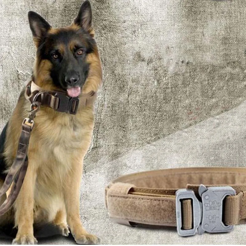 Триол ошейник овчарка. Ошейник для щенков овчарки. Триол ошейник овчарка. Ошейник и поводок для немецкой овчарки. Ошейник кожаный с ручкой fordogtrainers c33.