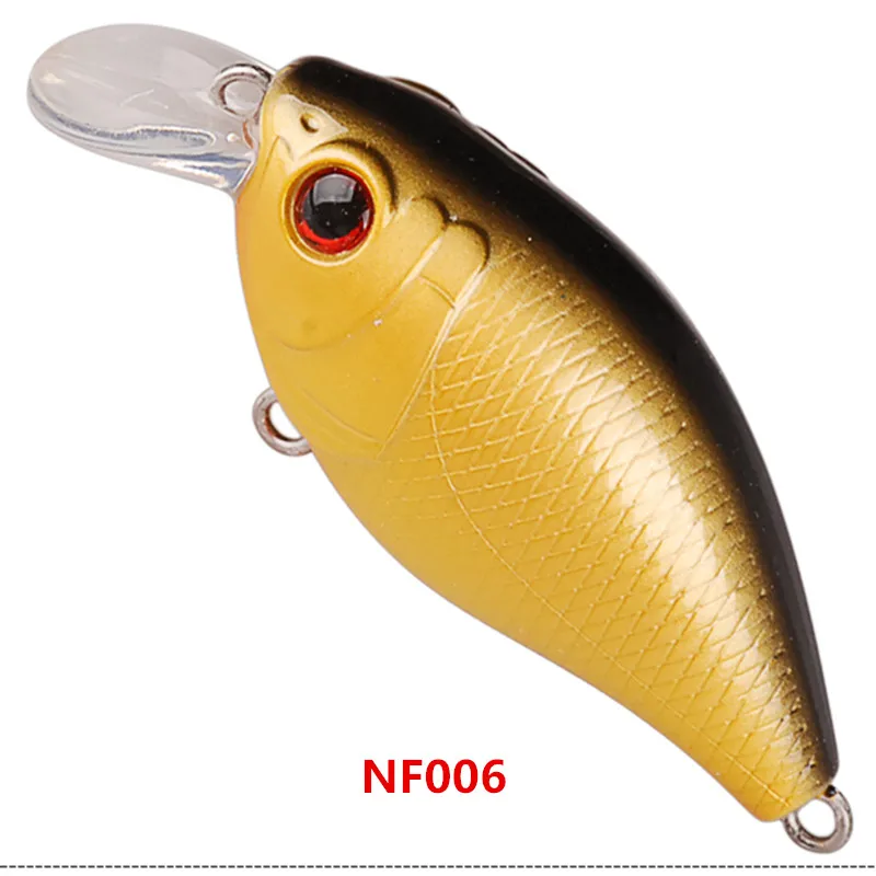 NF006_