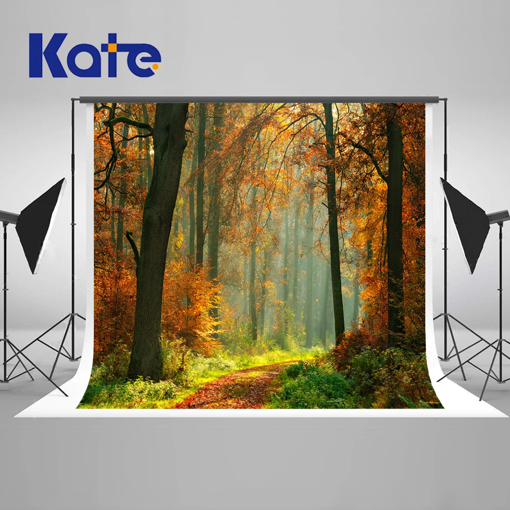 

Kate 250x250cm Autumn Nuture Background Photography Fallen Leaves Back Drops For Photography Romantic Wedding Photo Background