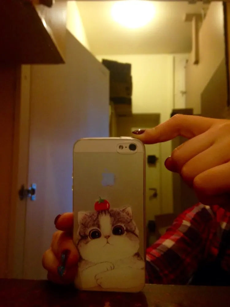 aeProduct.getSubject()