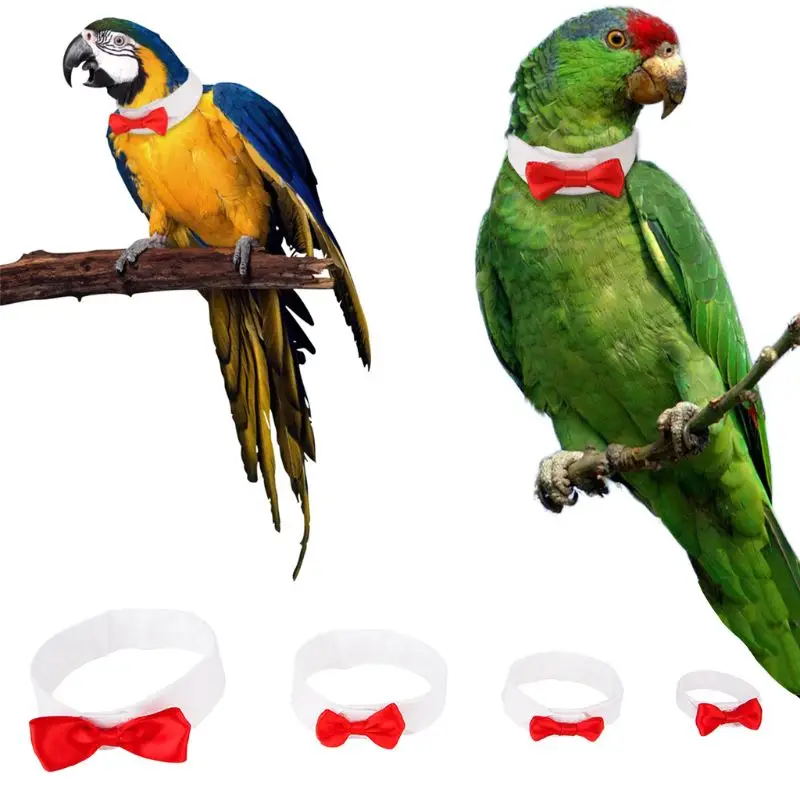Ручной работы костюм птицы попугая кота ошейник для котенка галстук-бабочка украшения регулируемый