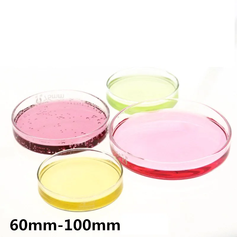 60mm 100mm Glass culture dish,high borosilicate glass petri dish,High