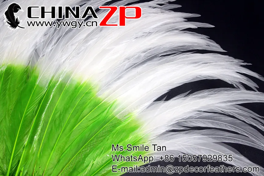 65~70cm green with white tip dould color silver pheasant feather  (6)