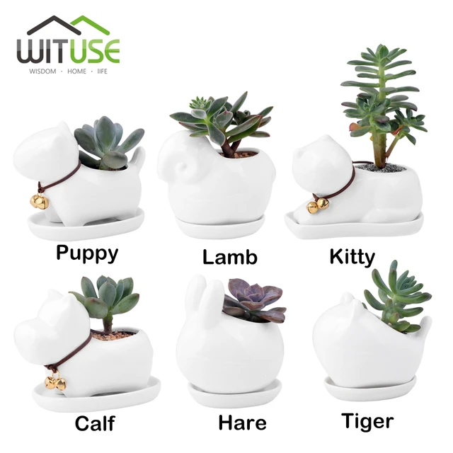 Wituse Kawaii Ceramic Animals Flower Pot Mini White Planter Bonsai Wituse Kawaii Ceramic Animals Flower Pot Mini White Planter Bonsai Pots Garden Plants Succulent Flowerpots With Ed Tray