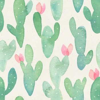

photography backdrops for baby pictures cactus photo studio background for Birthday Shower XT-5654