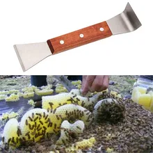 Горячая вилка для меда скребок из нержавеющей стали пчелиный улей Лопата инструмент для пчеловодства TI99