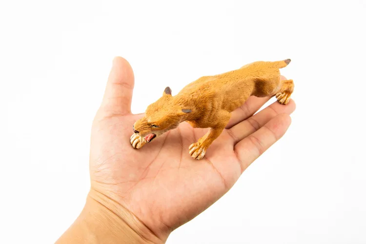 a17