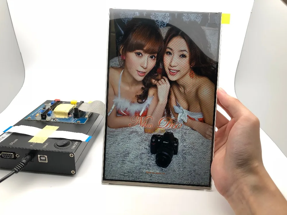 57661616625949152
