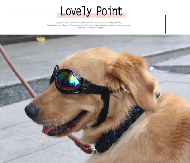 TB2ru_IaFXXXXXmXpXXXXXXXXXX-73155338