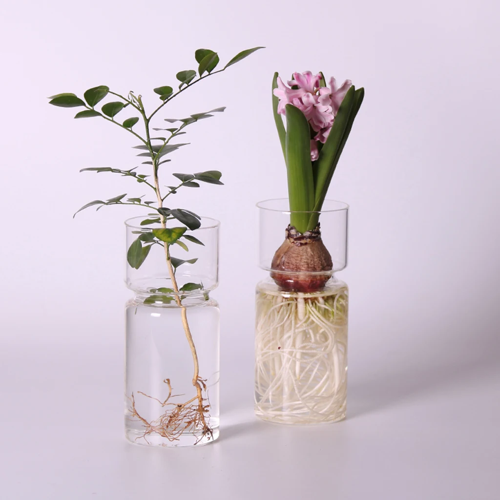 4 pieces Micro Landscape DIY Bottle Terrarium Container Glass Hydroponic Vase