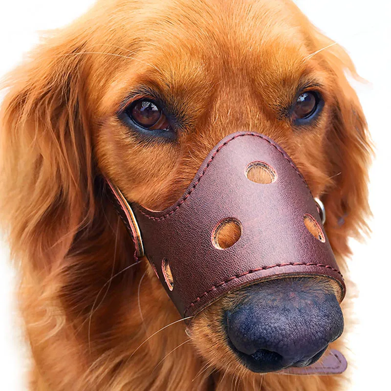 dog muzzle for biting