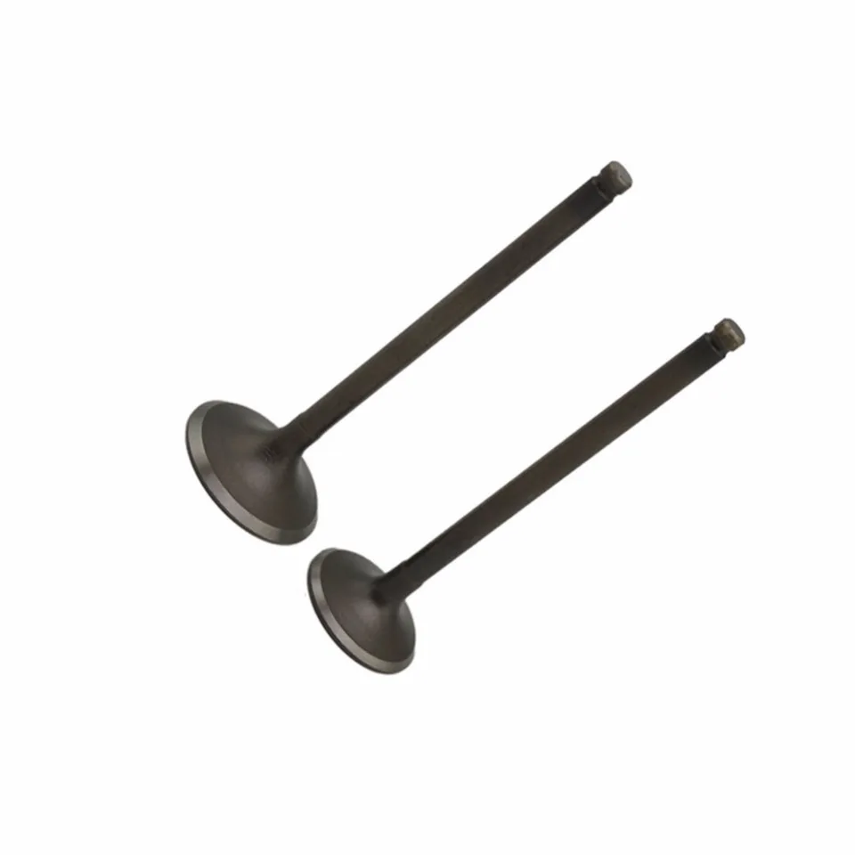 Amazon.com: AHL 2pcs Intake Exhaust Valve Stem Seal Set for