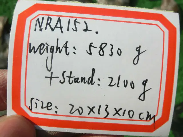CIMG1745