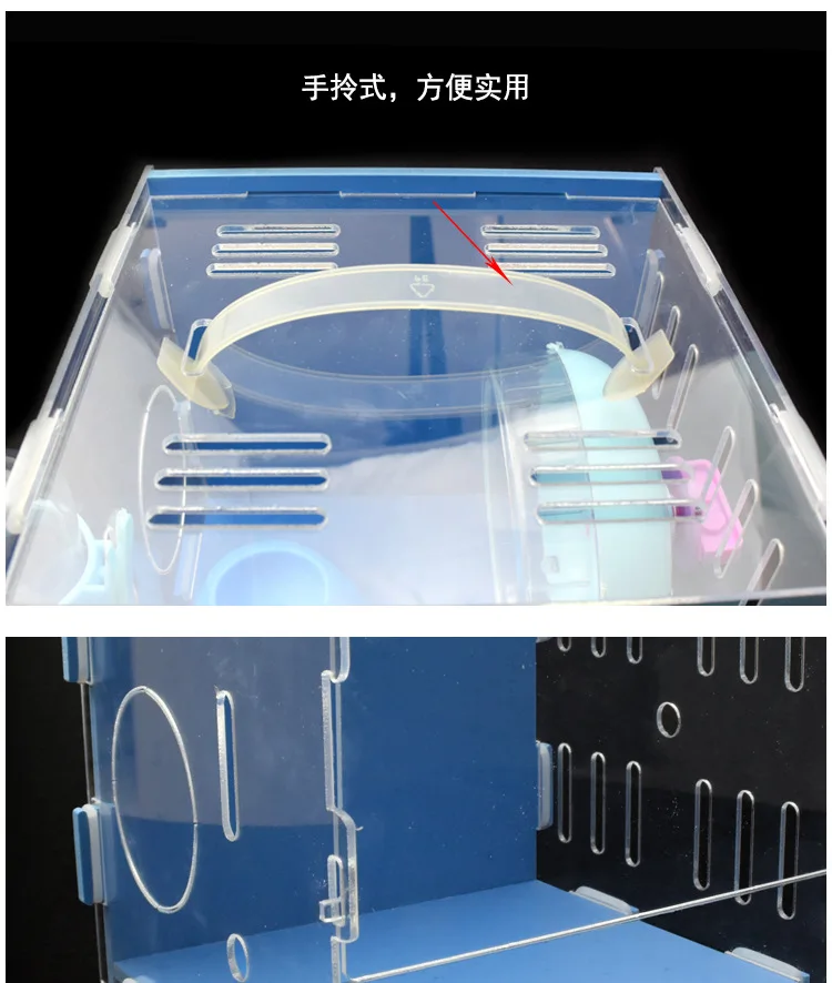 10386128040_1676703746