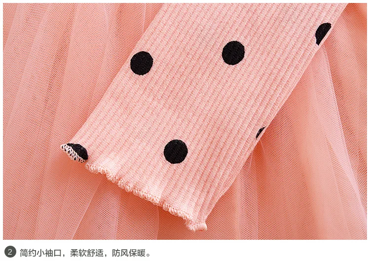 4442063029_816953064