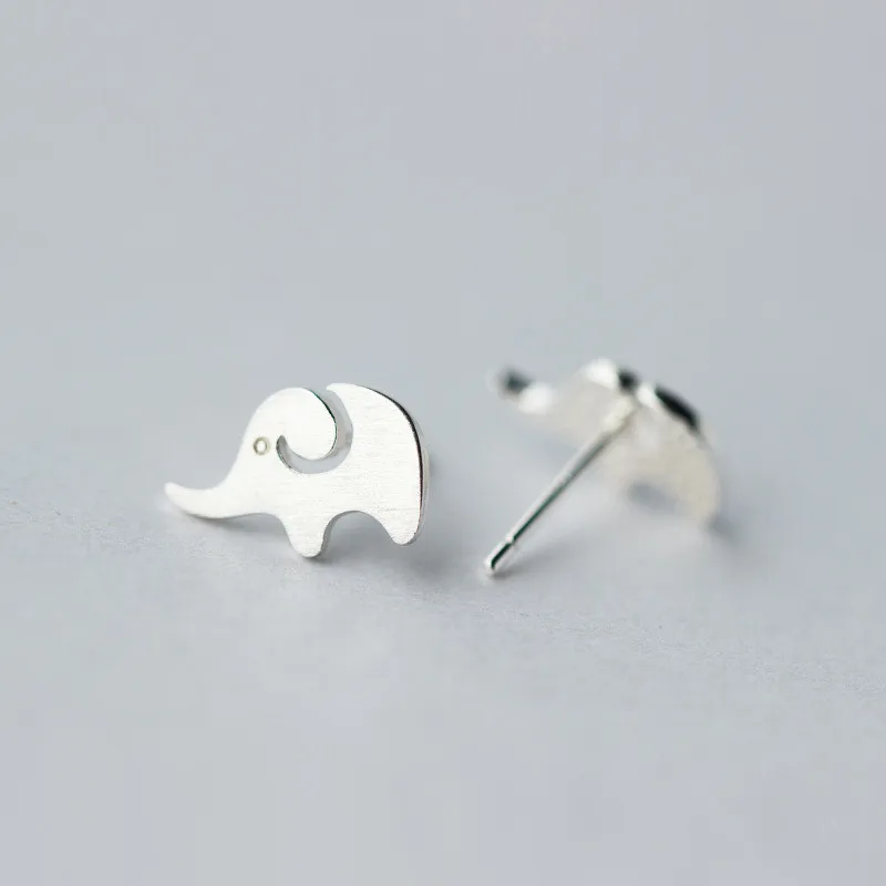 2677804563_334617663