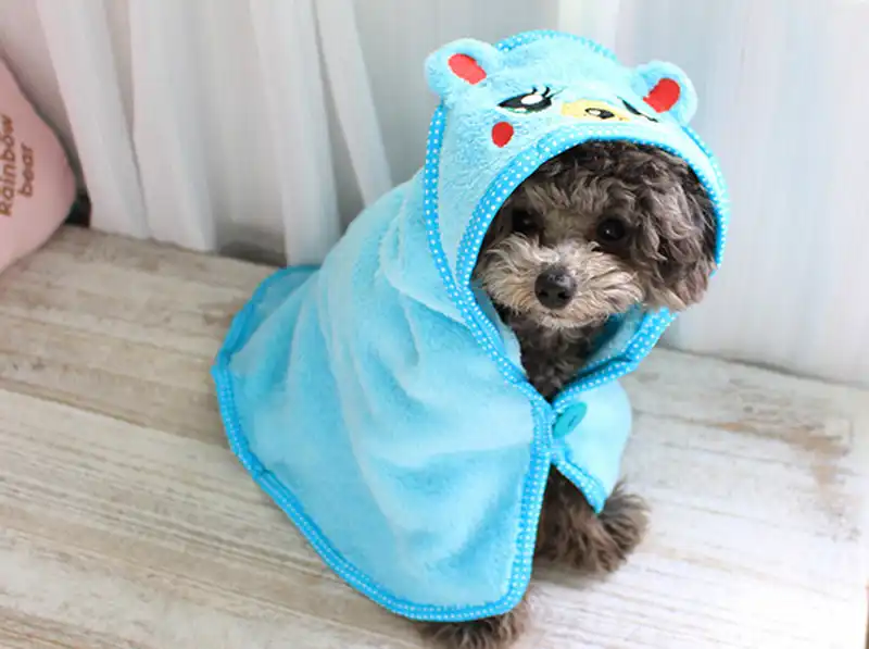 embroidered dog blankets