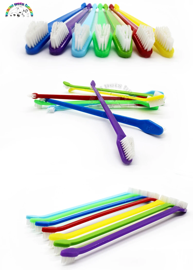 pet toothbrush