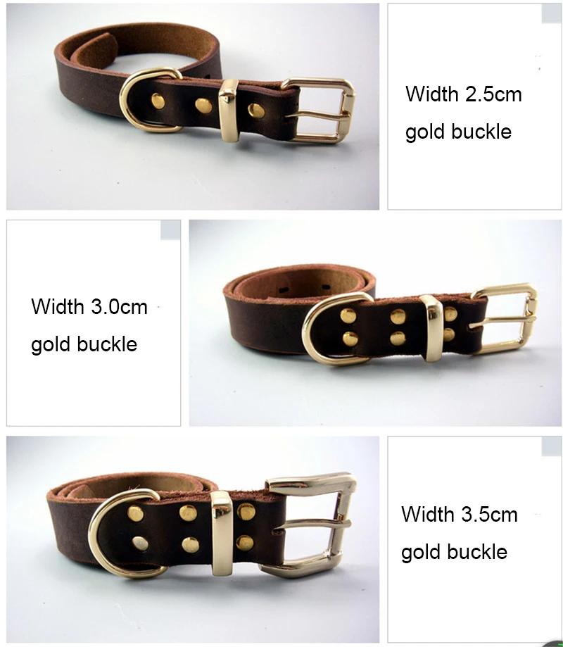 genuine leather dog collars (5)