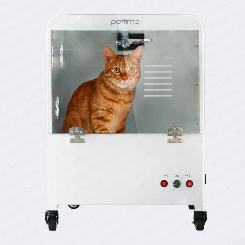 Автоматическая Бесшумная сушильная машина для собак, фен для кошек, выдувная машина для домашних животных, сушилка для больших и средних собак, машина для выдувания воды